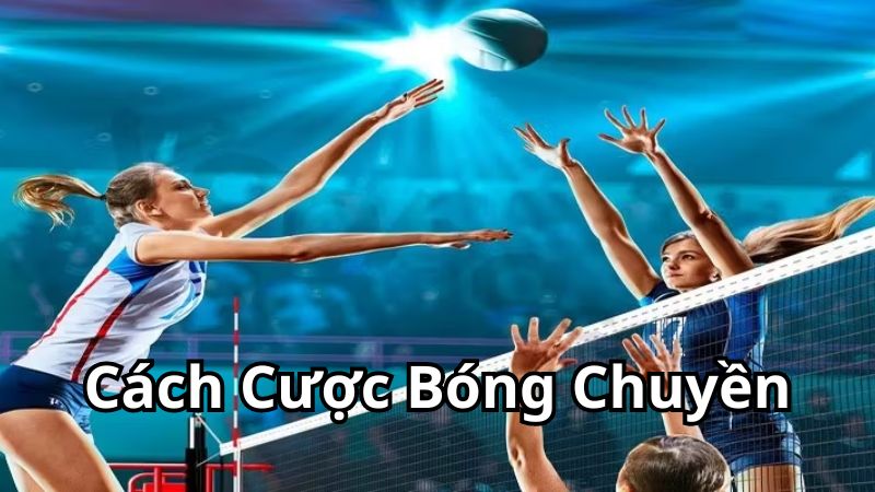 Định nghĩa chính thức về cá cược bóng chuyền Hi88 online