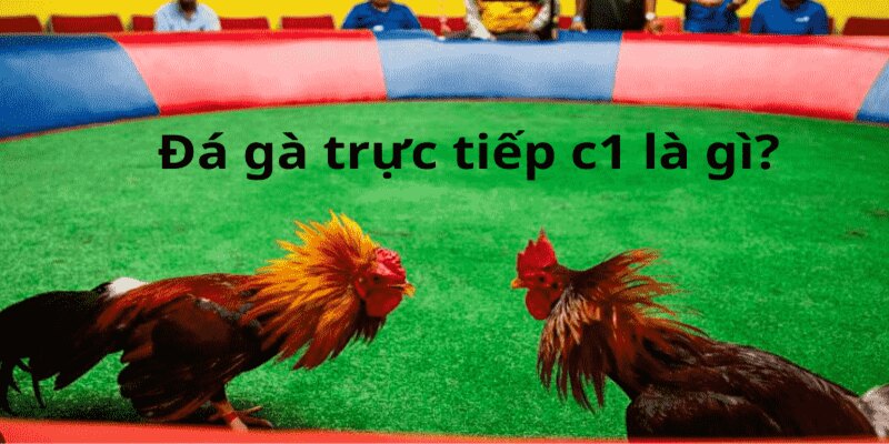 Hình thức trực tuyến đang dần thay thế cách đá gà truyền thống